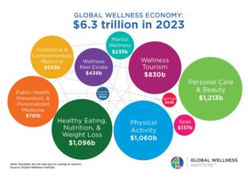 2024 Global Wellness Economy Monitor - Global Wellness Institute