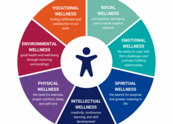 7 Dimensions of Wellness: A Path to Balanced Living – Sintelly