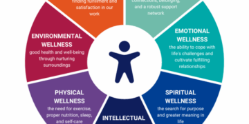7 Dimensions of Wellness: A Path to Balanced Living – Sintelly